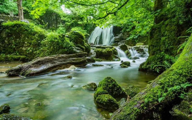 智能高端高标准